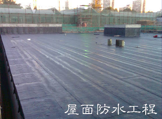 從根本上解決和防治建筑屋面滲漏問題，專家給出的方案是從防水系統(tǒng)設(shè)計(jì)、施工過程、材料選材及質(zhì)量監(jiān)管和后期的管理維護(hù)等方面著手，嚴(yán)格規(guī)范